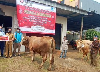 Peduli dan Berbagi, Indah Kiat Tangerang Serahkan Puluhan Hewan Kurban