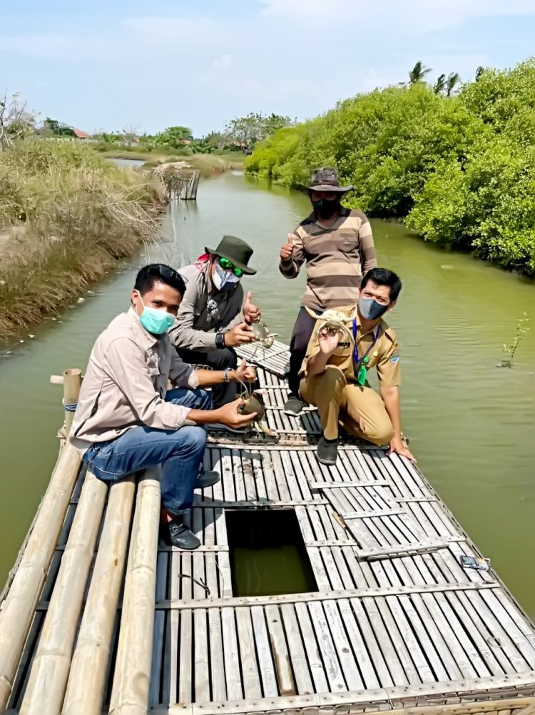 Penyerahan bantuan kepiting di Pantai Utara Tangerang dari PT IKPP Tangerang. (IST)
