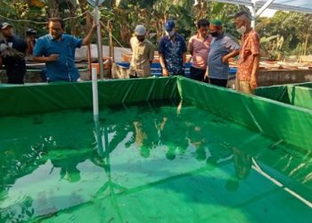 Pemberdayaan Hidroponik dan Budidaya Lele, Camat Serpong Utara Apresiasi CSR Binaan PT IKPP Tangerang