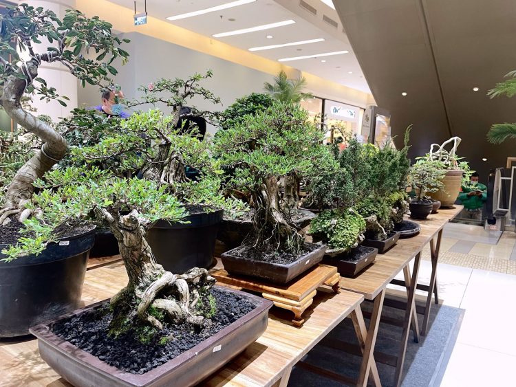 Urban Garden Summarecon Mall Serpong. (IST)