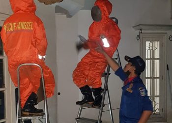 Mengerikan! Sarang Tawon Berukuran Jumbo Bertengger di Rumah Warga Bintaro
