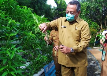 Walikota Tangsel Diajak Panen Sayur Hidroponik di SDN Rawa Buntu 03