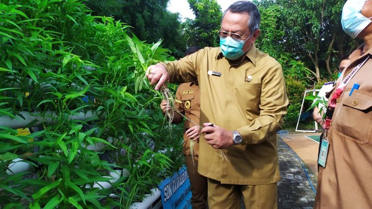 Walikota Tangsel Benyamin Davnie panen sayur hidropnik di SDN Rawa Buntu 03. (PHD)