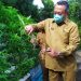 Walikota Tangsel Diajak Panen Sayur Hidroponik di SDN Rawa Buntu 03