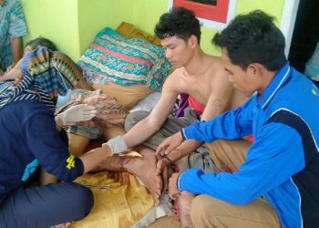 Cari Udang di Sungai, Nelayan Di Pandeglang Diterkam Buaya