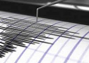 Banten Selatan Diguncang Gempa, Polda: Belum Ada Laporan Kerusakan
