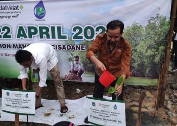 Dukung Ekowisata Mangrove Cisadane, Indah Kiat Tangerang Tanam Ribuan Bibit Di Bantaran Sungai Cisadane