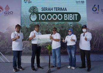 Tanam 2.061 Pohon Mangrove, bank bjb Dukung Indonesia Tanpa Pencucian Uang dan Pendanaan Teroris