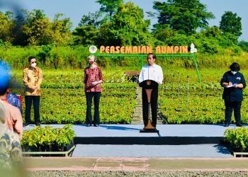 Persemaian Rumpin, Peneguhan Komitmen Pemerintah Hadapi Perubahan Iklim