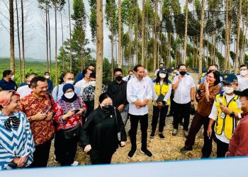 Presiden Jokowi Optimistis Pembangunan IKN Berjalan Lancar
