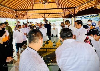 Presiden Jokowi Tinjau Progres Pembangunan Bendungan Sepaku Semoi