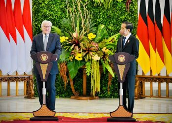 Presiden Jokowi dan Presiden Steinmeier Sepakati Sejumlah Kerja Sama Indonesia-Jerman