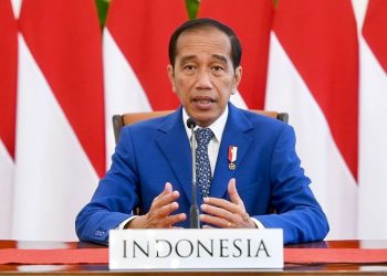 Tiga Langkah Usulan Presiden Jokowi pada High-level Dialogue on Global Development