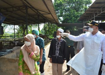 Bupati Tangerang Zaki Iskandar saat memantau di lapak penggemukan sapi. (RIK)