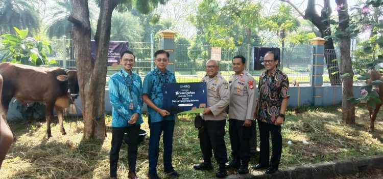 Manajemen PT Hero Group menunjukkan hewan kurban untuk didistribusikan kepada masyarakat. (RAY)