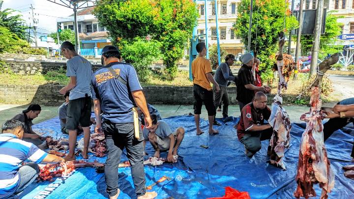 Penyembelihan hewan kurban. (IST)