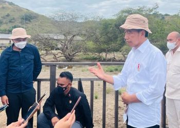 Terkait Insiden Penembakan Brigadir J, Presiden Jokowi: Buka Apa Adanya, Jangan Ada yang Ditutup-tutupi