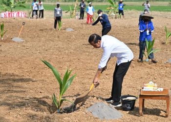 Antisipasi Krisis Pangan, Presiden Jokowi Dorong Pemanfaatan Lahan Pekarangan dan Lahan Tidak Produktif