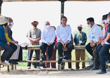 Di Jawa Tengah, Presiden Jokowi Ingatkan Petani Rawat Kelapa Genjah