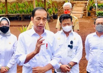 Presiden Jokowi Soal Usulan TNI/Polri Tugas di Kementerian: Belum Mendesak