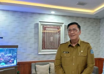 Pengoperasian Bandara Pondok Cabe Tidak Koordinasi dengan Pemkot Tangsel