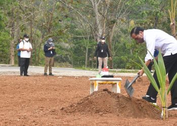 Presiden Jokowi Tegaskan Pentingnya Jaga Pasokan Pangan Nasional