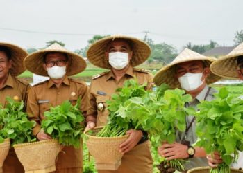 Tingkatkan Hasil Pertanian, Pemkab Tangerang Punya Gedung Puskargo