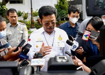Presiden Jokowi Perintahkan Menteri Pertanian Cek Stok Beras Nasional