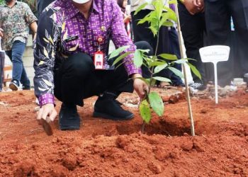 Program SEHATI, SMPN 3 Curug Panen Padi Hitam