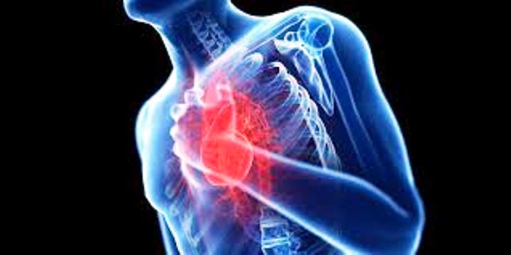 Ilustrasi jantung koroner. (NET)