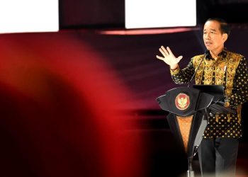 Presiden Jokowi Dorong Pemda Maksimalkan Pengelolaan Keuangan Daerah dengan Bangun Dana Abadi