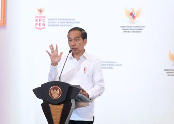 Presiden Jokowi Paparkan Sejumlah Langkah Sukses Pemerintah Tangani Pandemi