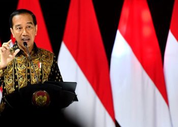 Tekankan Pentingnya Investasi, Presiden Joko Widodo Minta Daerah Selesaikan Dua Masalah Besar