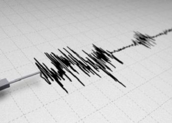 Kota Jayapura Pagi Ini Diguncang Gempa