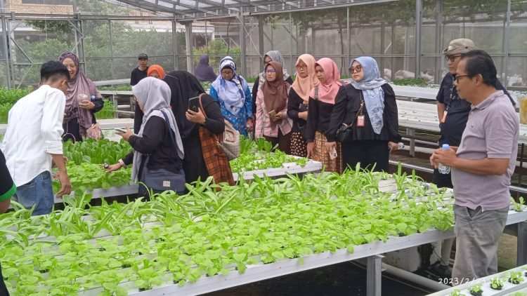 Anggota Binaan CSR PT IKPP Tangerang saat cross learning di Teratai Hidrofarm. (RAY)