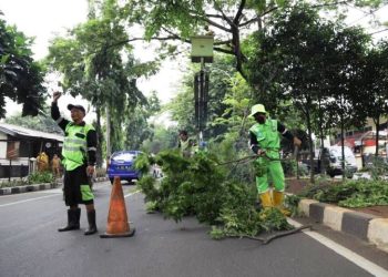 Bangunan Rusak Akibat Pohon Tumbang Bisa Ajukan Asuransi, Begini Caranya!