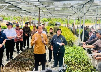 Tinjau Persemaian Mentawir, Jokowi: Komitmen Pemerintah Terhadap Lingkungan Dimulai dari Sini