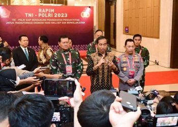 Waspadai Karhutla, Presiden Joko Widodo Kembali Ingatkan Pangdam hingga Kapolda
