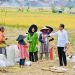 Presiden Jokowi Hampiri Petani yang Sedang Panen