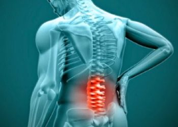 Waspadai Sakit Pinggang saat Mudik, Agar Aman Baca Tips Berikut Ini