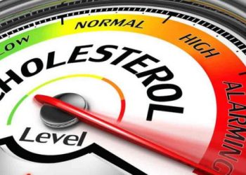 Waspadai Kolesterol Pasca Lebaran, Ini Makanan yang Harus Dihindari