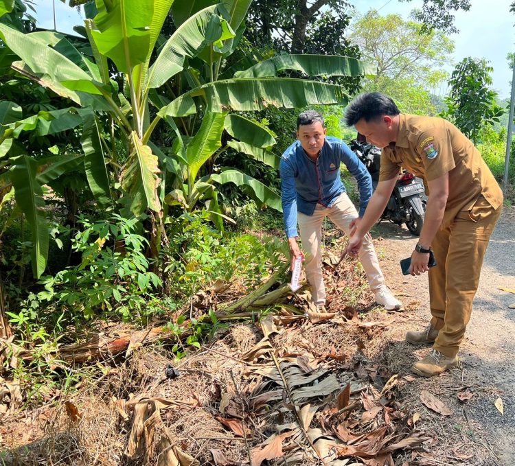 Lokasi penemuan bayi dalam dus. (RIK)