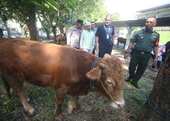 Rayakan Iduladha, HERO Group Sebar Puluhan Hewan Kurban