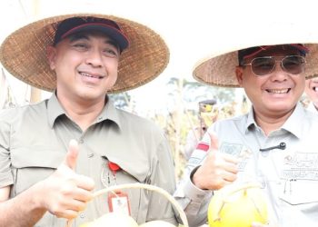 Wakil Menteri Pertanian Kunjungi Puskagro, Begini Reaksi Bupati Zaki 