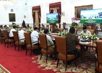 Jokowi Dorong Percepatan Penyelesaian Dokumen Asesmen Kawasan Borobudur