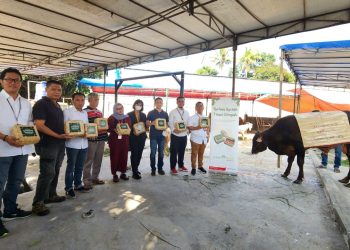 Rayakan Iduladha 1444 H, Yayasan Muslim Sinar Mas Land Salurkan Ratusan Hewan Kurban