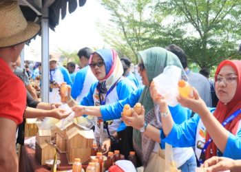 Peserta APKASI Kagumi Wisata Ketapang Urban Aquaculture