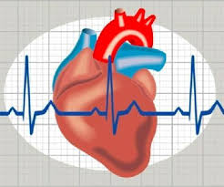 Atlet Lebih Rentan Terkena Gangguan Aritmia Jantung