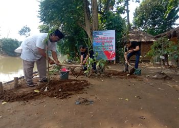 Indah Kiat Tangerang Kembali Tanam Pohon Kiray di Bantaran Sungai Cisadane
