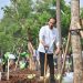 Tanam Pohon Serentak, Presiden Jokowi Tegaskan Langkah Nyata Atasi Perubahan Iklim